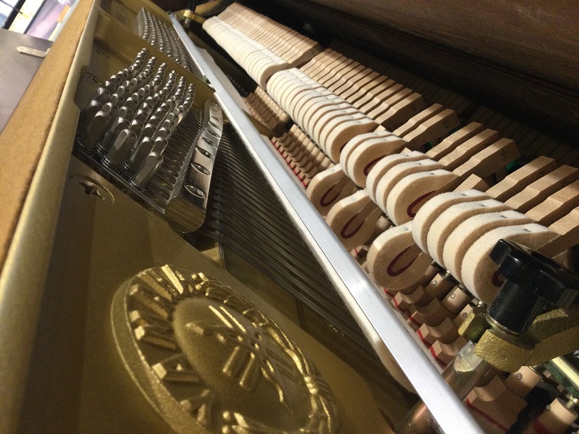 W100Wn（川越店）｜埼玉の音楽教室・楽器店の昭和楽器